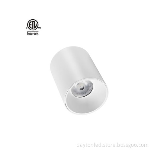 Daytonled Master D IP65 Series CRI90 CRI97 LED Downlight